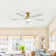 Whisper 52" 5-Solid Blade Classic Ceiling Fan with LED Light Kit and Remote Control