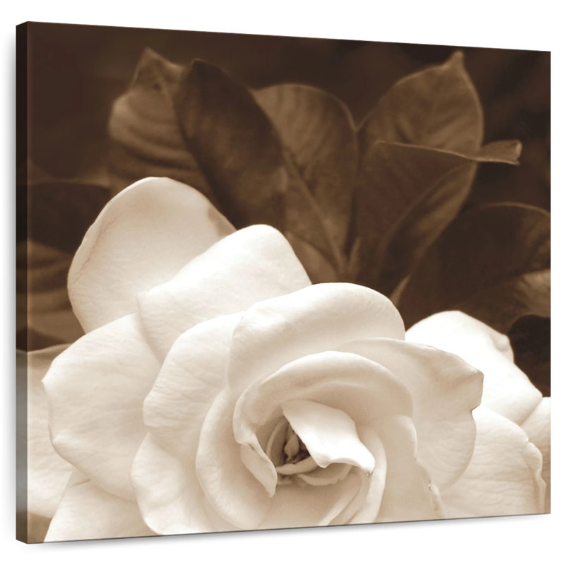 Jardin Harnek Gardenia, H 24 po x l 24 po