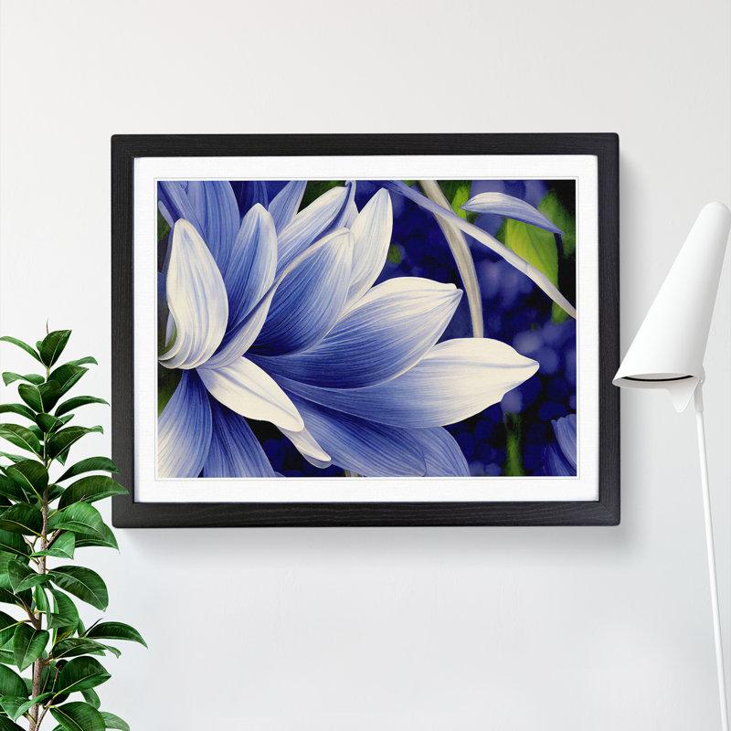 A Wild Flower - Framed Print, Black, 25cm H x 34cm W x 2cm D