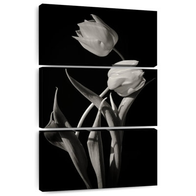 Tulipes monochromes