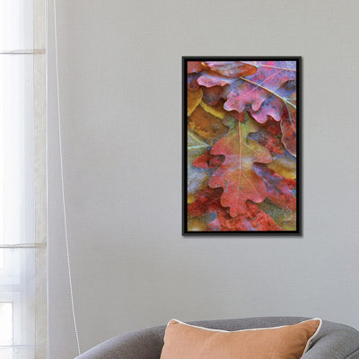 « le chêne de chêne automne est congelé sur le sol », reproduction de photo sur toile