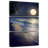 Plage lumineuse au clair de lune-108502439