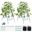 Cucumber Trellis, A-Frame Garden Trellises for Raised Bed, Metal Rustproof Coating Plant Support for Vine, Climbing Plants, Peas, Beans, Zucchini, Tomato, Flower (46.06 x 18.11 in)