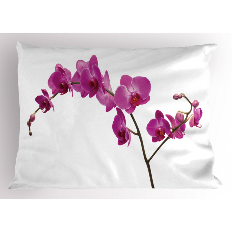 Polyester Floral Sham Set, Twin