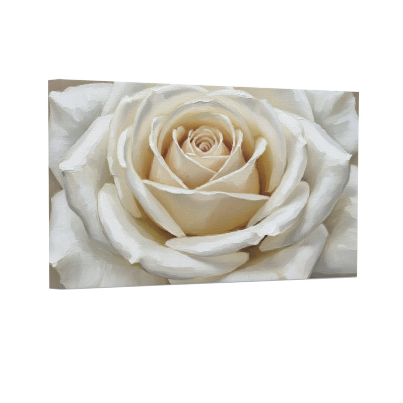 Plantes et fleurs, rose blanche, gros plan, motif floral, H 24 po x l 36 po