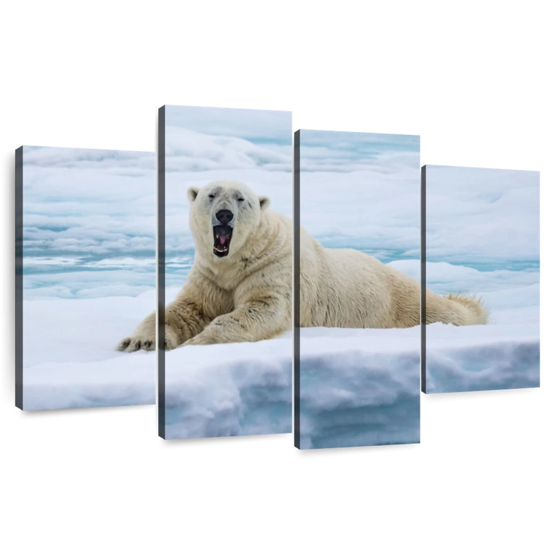 L'ours polaire Brampt se réveille, H 14 po x l 24 po