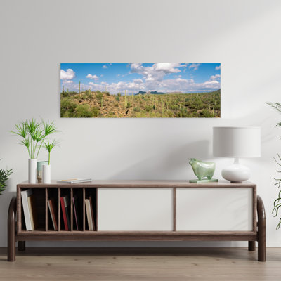 Saguaro National Park, Tucson, Az, États-Unis
