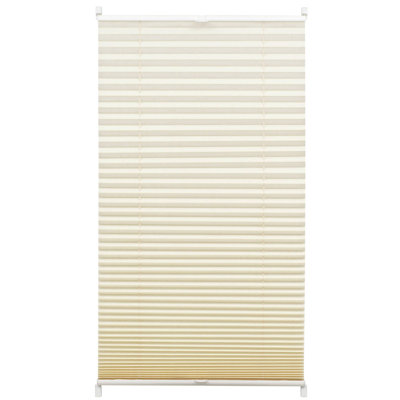 Blackout Pleated Blind