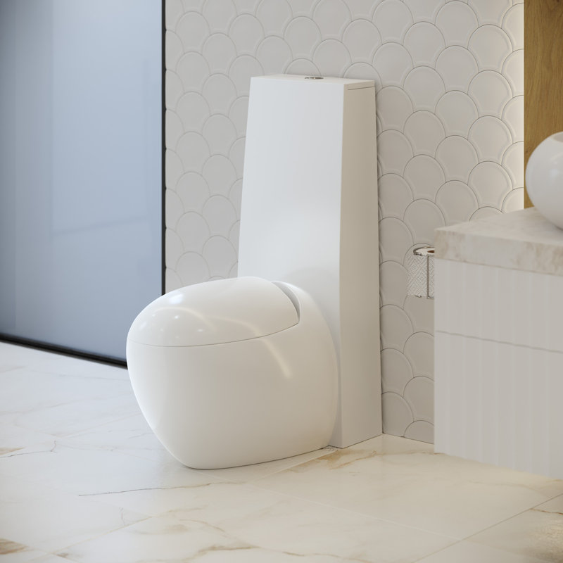 Plaisir One-Piece Elongated Toilet Dual-Flush 1.1/1.6 gpf