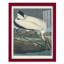 Waverley Pl 216, impression encadrée sur papier-1234225162-1234225164