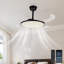Ventilateur de plafond rétractable de 42 pouces avec lumière, DEL à spectre complet à intensité variable, télécommande et contrôle d'application, style moderne-1985296161