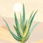 Desert Greenhouse V - imprimé-509756141-471185536-471185567