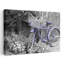 Colour Pop Old Bicycle With Flower Basket Next To Old Outhouse Garden Shed Marion County Illinois USA Veri Peri by Richard Day - Wrapped Canvas Print-2030811638