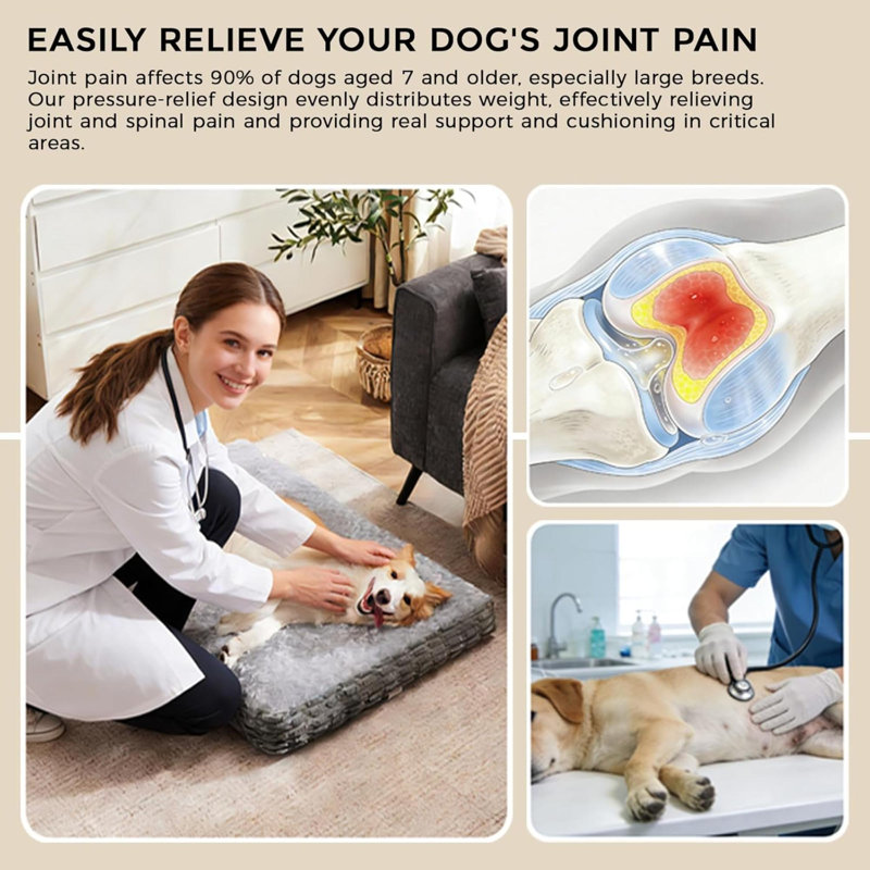 Pet Bed
