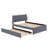 Dotta Upholstered Platform Bed-714379466-714379469