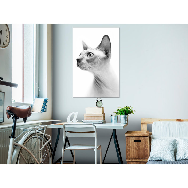 No Frame Print on Canvas, 40cm H x 60cm W