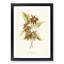Boxelder Maple Leaf - Framed Print-55679071-55679074