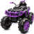 Purple is out of stock