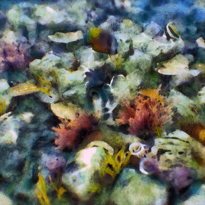 Sea Life I by Alonzo Saunders - Wrapped Canvas Painting