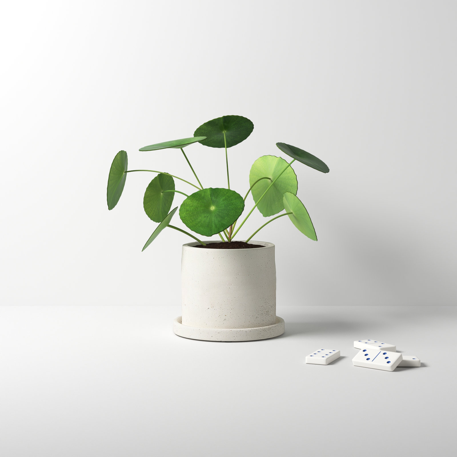 Alisha Handmade Ceramic Pot Planter, 4.25" H x 5.5" W x 5.5" D