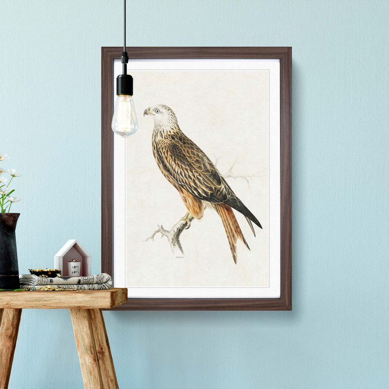 Red Kite by Von Wright - Picture Frame Painting Print, 48cm H x 36cm W x 2cm D, Walnut Framed