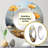 Eliyanna Round Wall Mirror