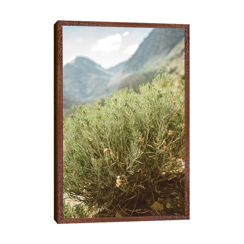 Yosemite National Park IV by Bethany Young - Print on Canvas, 101.6cm H x 66.04cm W x 3.81cm D, Classic Brown Wood Framed