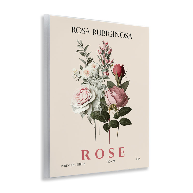 Ensemble de plaques murales Natural Rose, par Christopher Giampietro