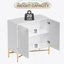 Armoire d'appoint à deux portes pour le rangement et la décoration, idéale pour ajouter fonctionnalité et style à tout espace de vie.
