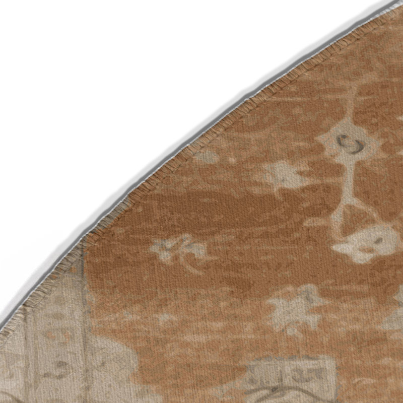 Tapis intérieur et extérieur brun Overdyed, Rond 5 pi