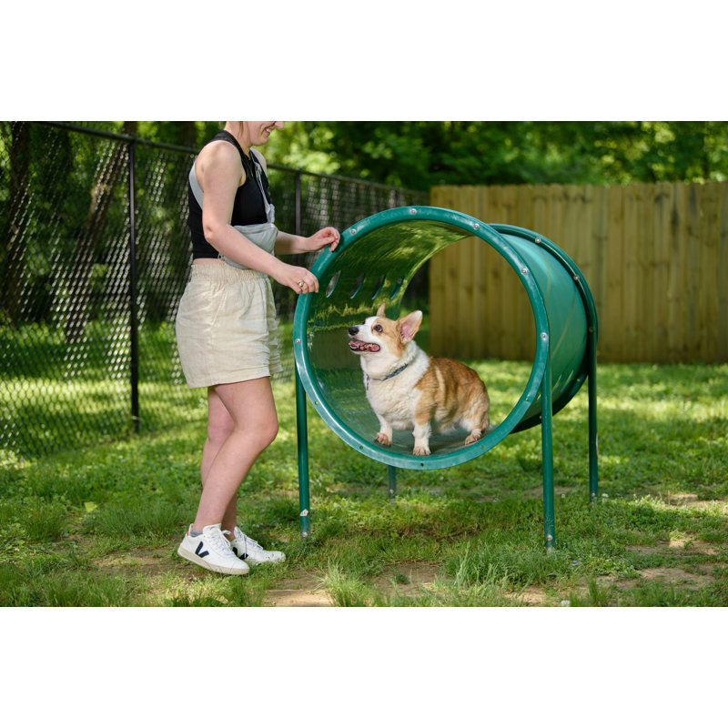 Enclos pour animaux Pollitt Doggie, Vert