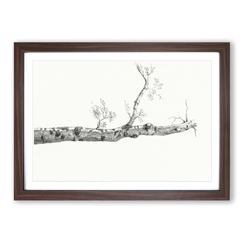 Study of a Tree by Jean Bernard - Picture Frame Drawing Print, Walnut Framed, 36cm H x 48cm W x 2cm D
