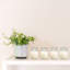 Battery Operated 3D Wick Flame LED Candles in Clear Holders, Soft White - 4 Pieces