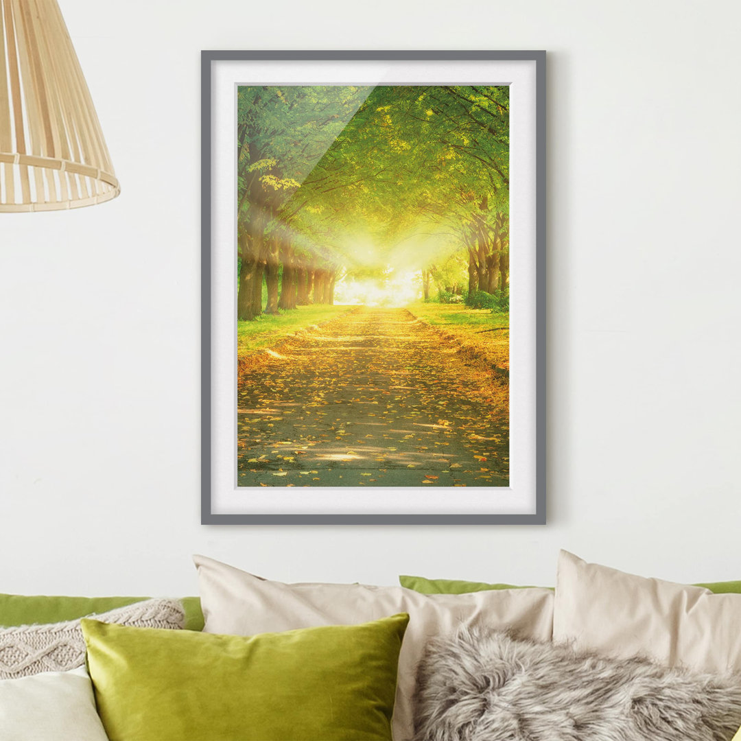 Gerahmtes Poster Autumn Avenue