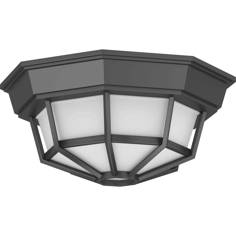 2-Light Outdoor Black Caged Geometric Cast Aluminum Flush Mount with Frosted Glass , Black