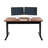 Westendorf Adjustable Metal Base Standing Desk-2117190112