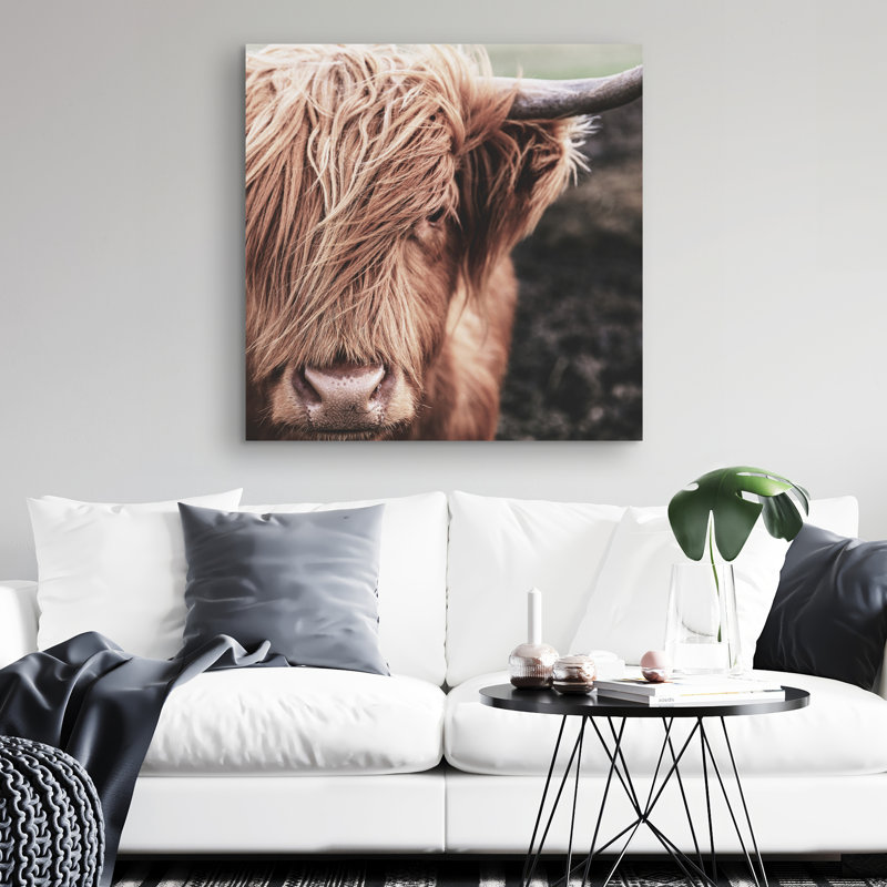 Desaturated highland cow - 32"x32" art on canvas