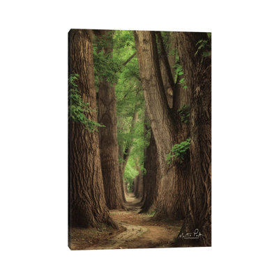 Roads Were Made For Journeys by Martin Podt - Wrapped Canvas Print