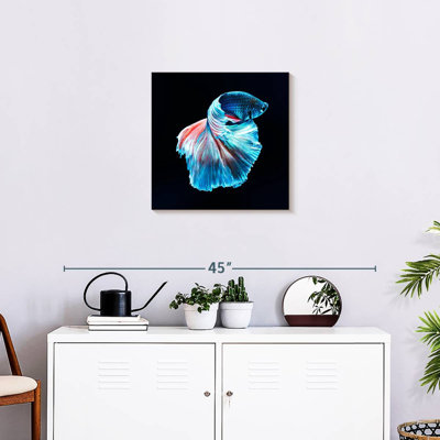 Brampt Glowing Blue Betta Fish