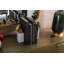 2 Piece Finch Figurine Set