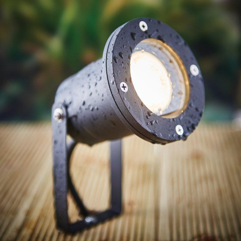 Roye Black Steel Spotlight