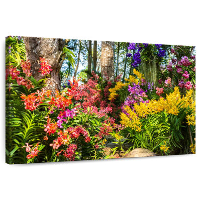 Harnek Chanthaburi Wildflowers