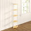 Corner Bookcase-21216344