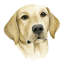 « human best friend », impression sur toile-29282498-74731417-74731422