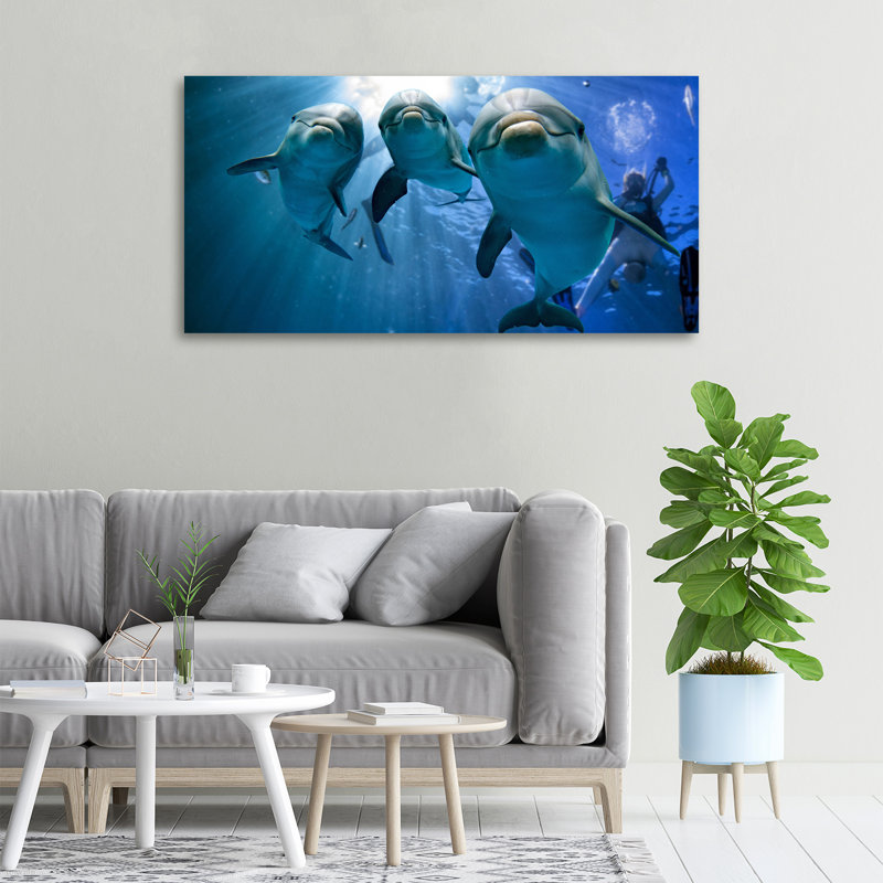 Three Dolphins - Wrapped Canvas Print