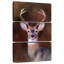 Brampt Eight Point en automne-108661820
