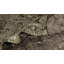 Rapture Camouflage Area Rug in Beige/Gray-68861707