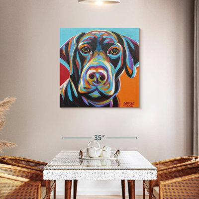 Brampt Dog Friend II