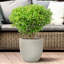 Egg Garden Reinforced Stone Round Planter, Outdoor Plant Pot-1669766810-1669766811