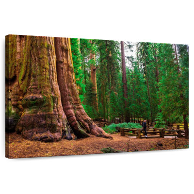 Redwood Harnek